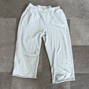 Eileen Fisher Light Blue Wide Leg Pants